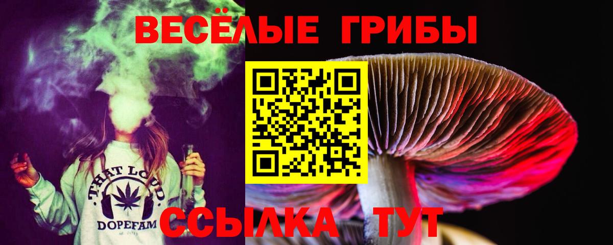 Псилоцибиновые грибы прущие грибы  Вход с VPN  наркота  Кыштым 